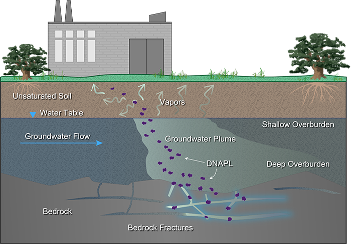 Illustration of DNAPL infiltration into soil.